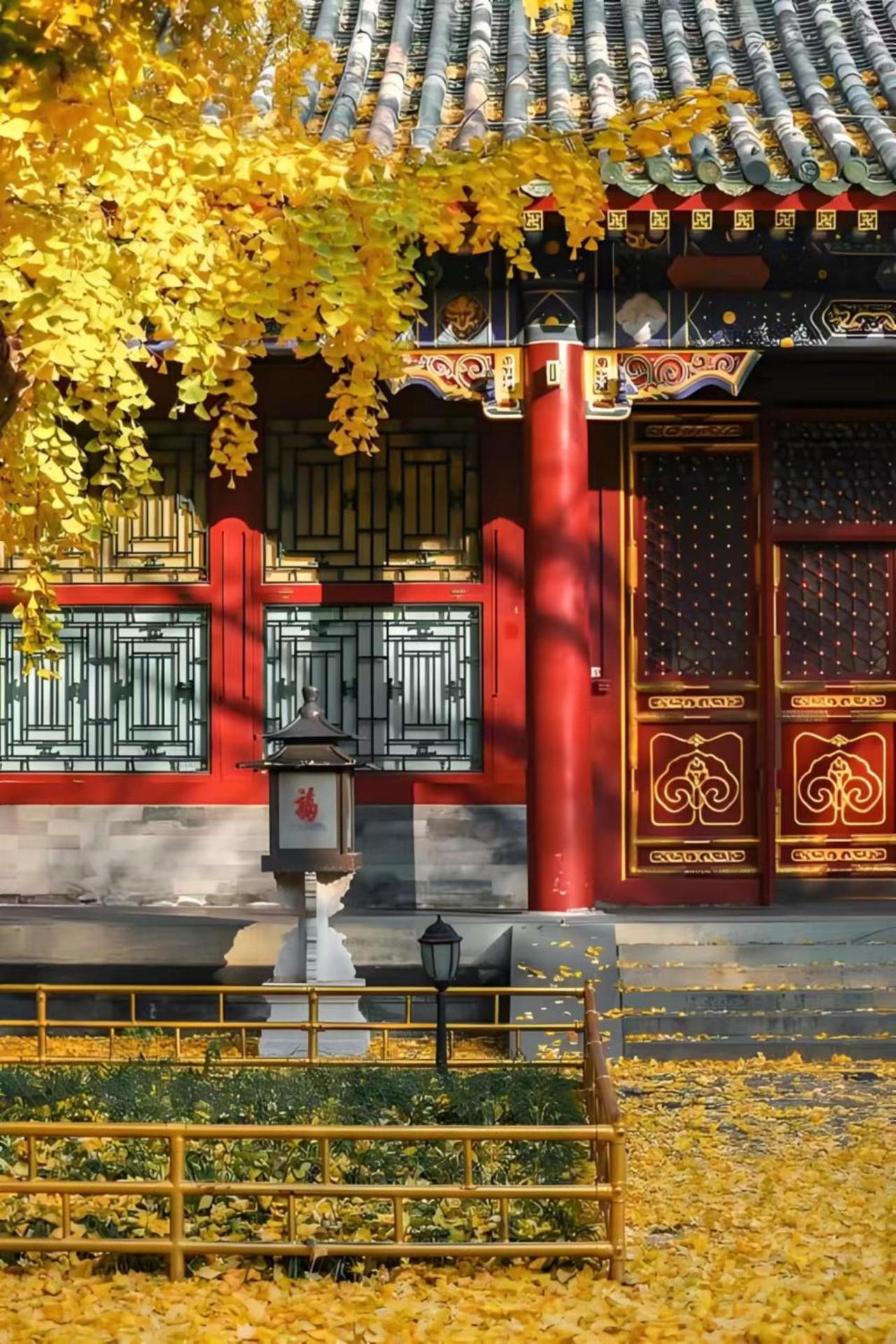 Tangfu - Located In The Center Adjacent To The Subway Station Close To Nanluoguxiang Gulou Temple Tiananmen Square Forbidden Temple Of Heaven Providing Laundry Car And Ticketing Services Hotel Peking